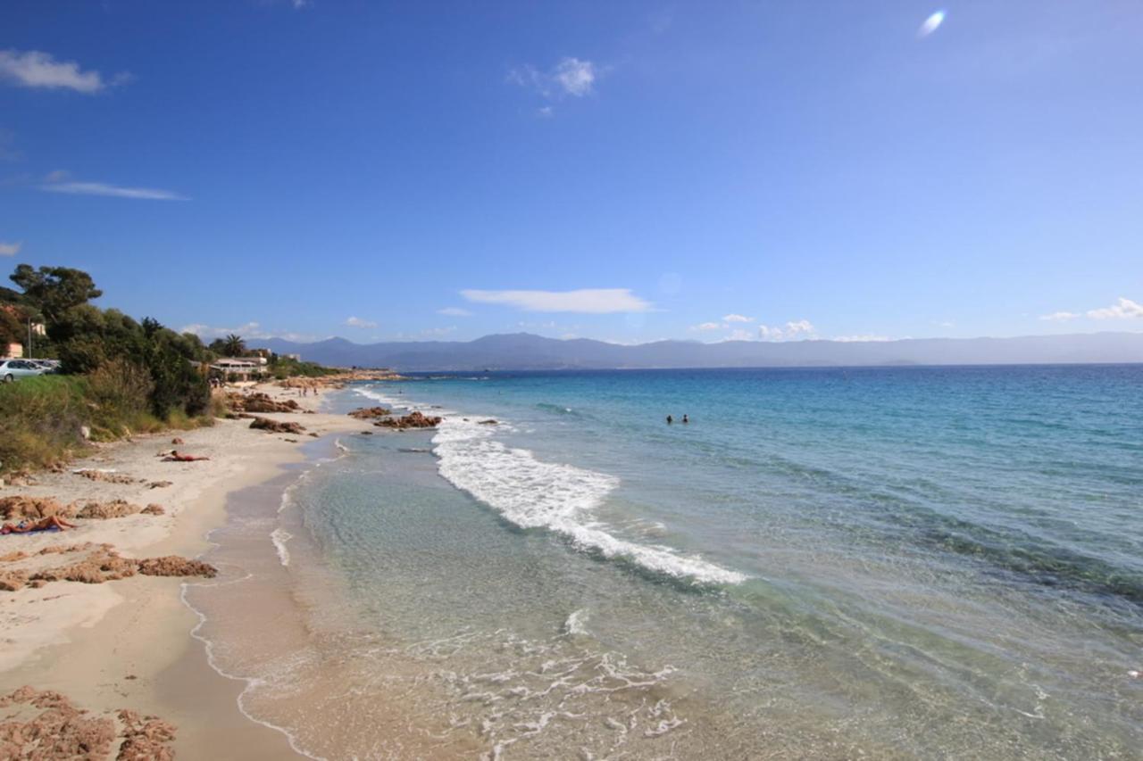 Nice And Bright 60 M With Terrace View On The Sea Ajaccio  Exteriör bild